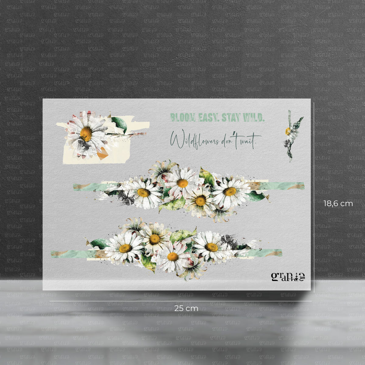 Bügelbild Stay Wild Borte Set