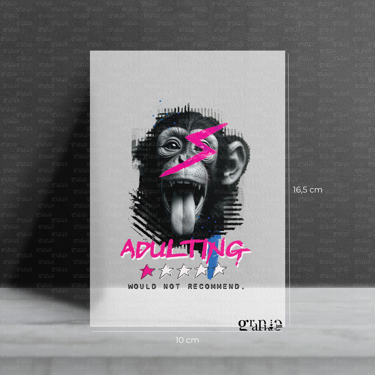 Bügelbild "Adulting - not recommended"