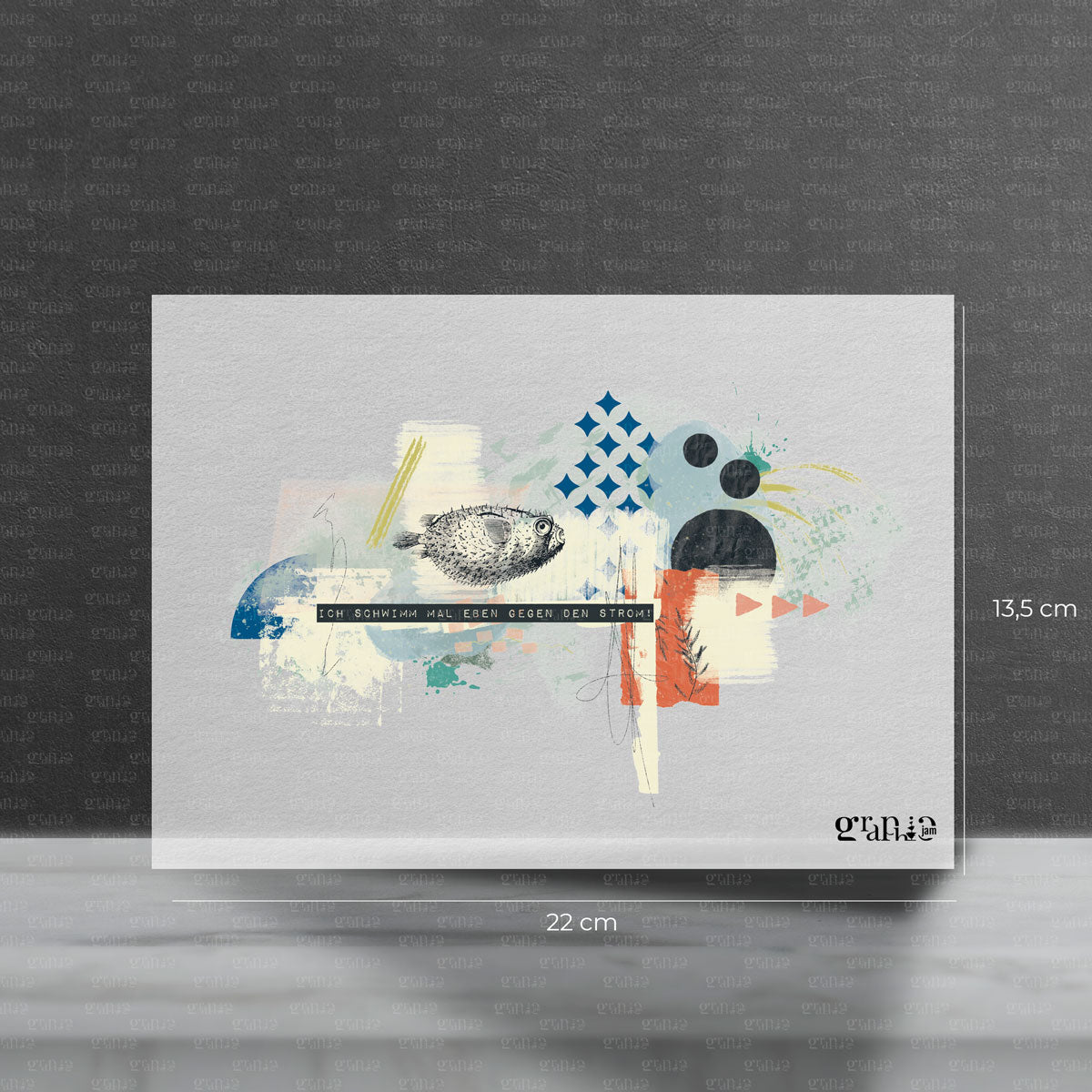 Gegenstromschwimmer Bügelbild - Graphic Jam