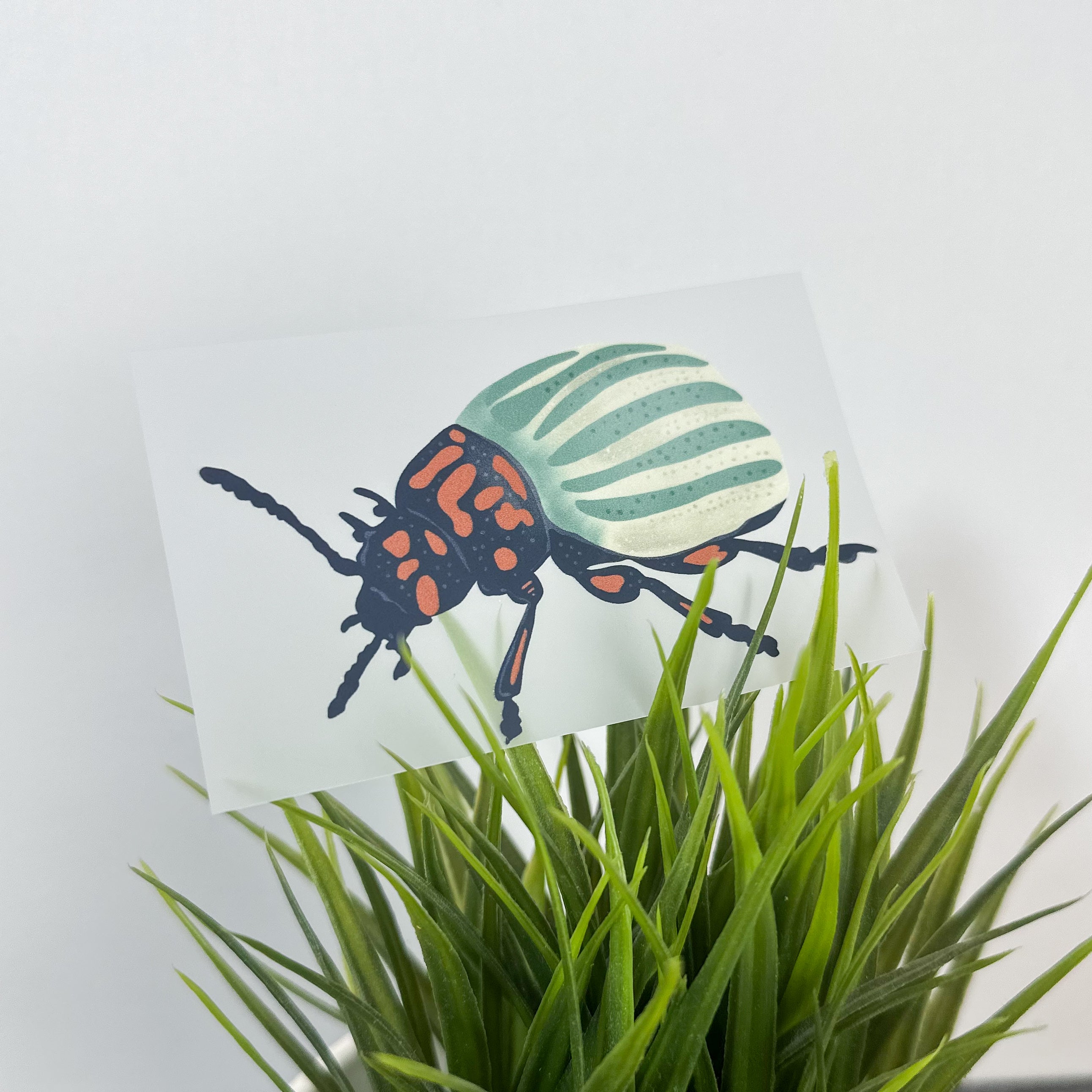 Bügelbild "Kartoffelkäfer" – Farbenfrohes Design für Insektenfreunde - Graphic Jam