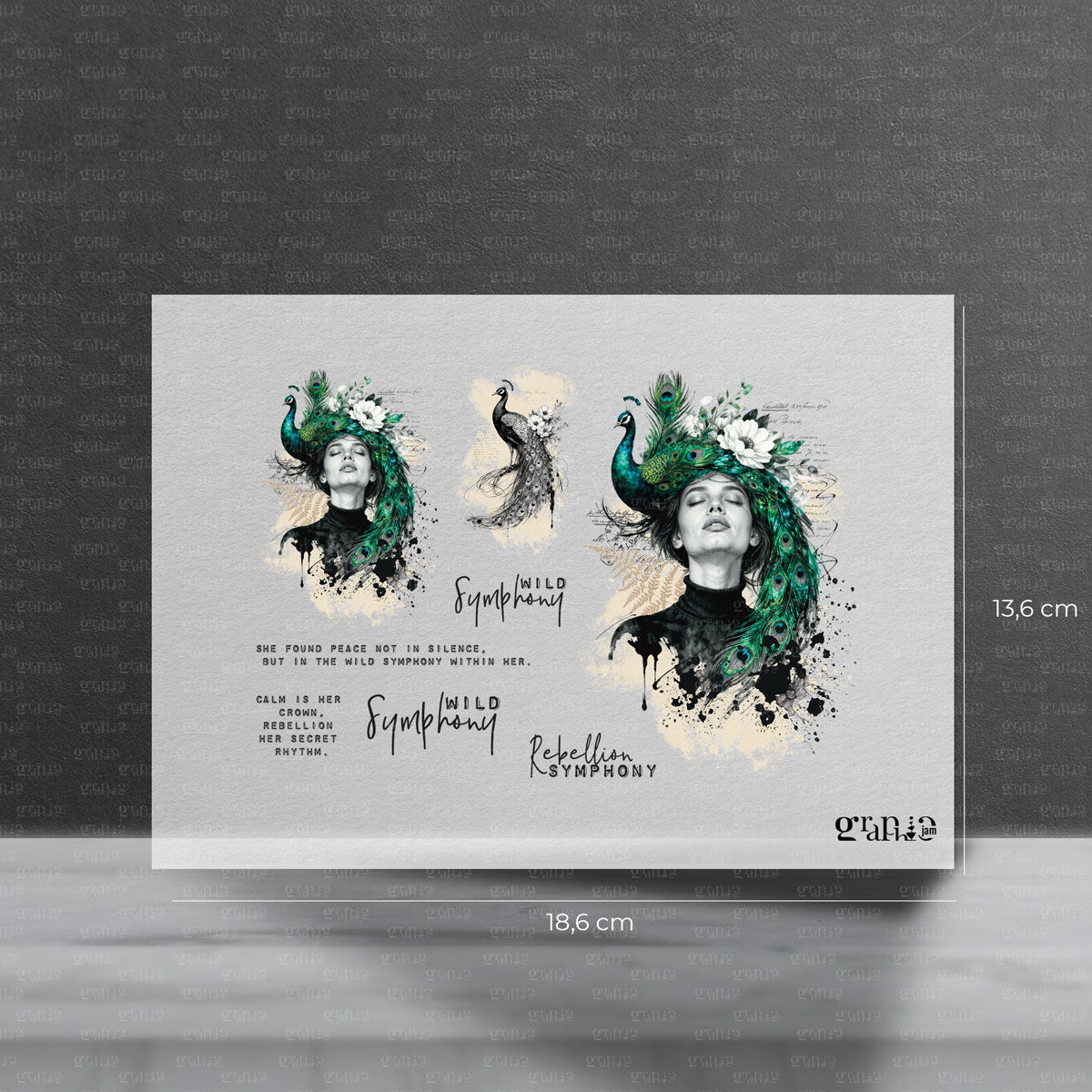 Trend Bügelbilder Graphic Jam