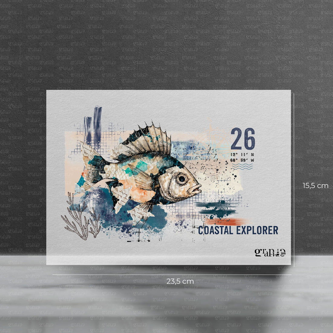 Bügelbild Coastal Explorer | Vorbestellung