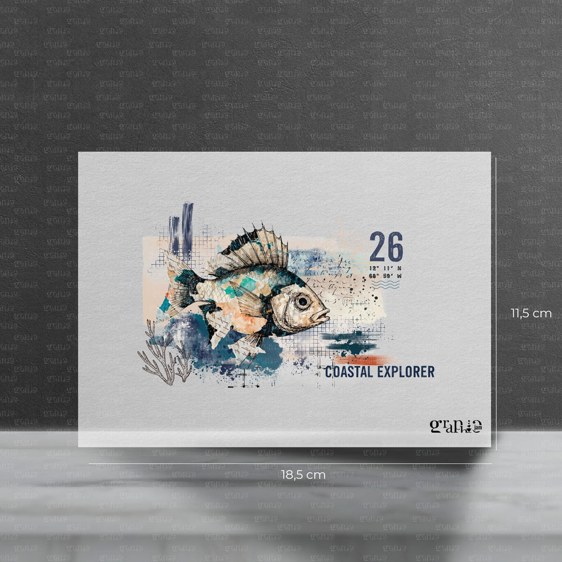 Bügelbild Coastal Explorer | Vorbestellung