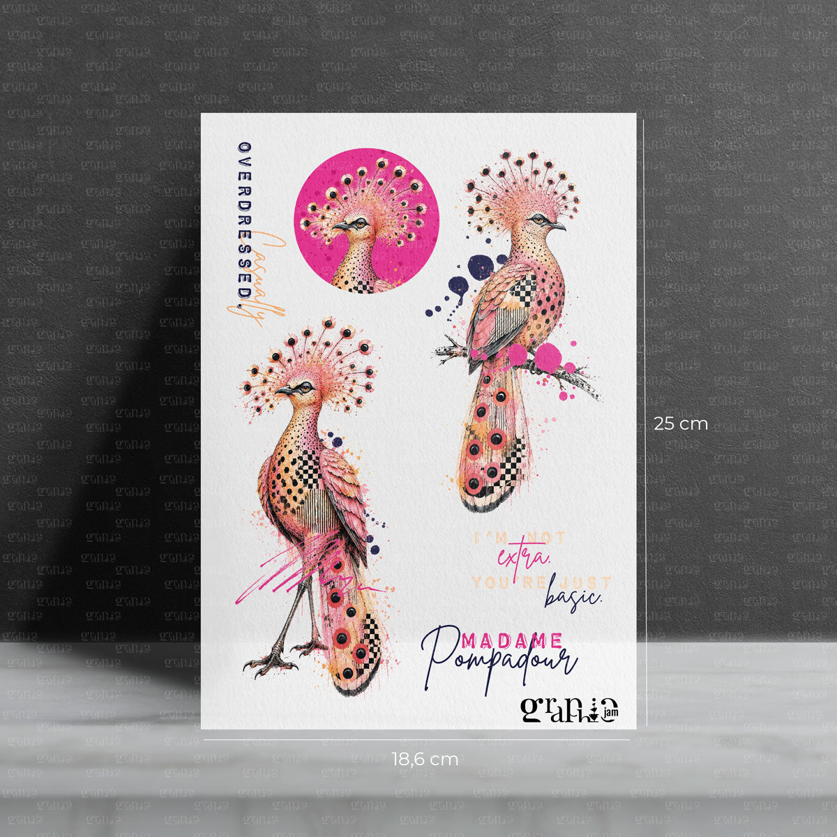 Bügelbild SET Madame Pompadour