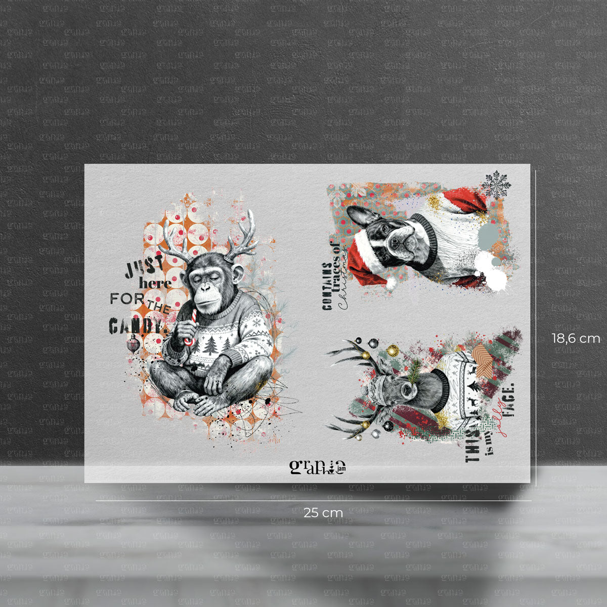 Bügelbild Set - Moody X-Mas Animals | X-Mas Special