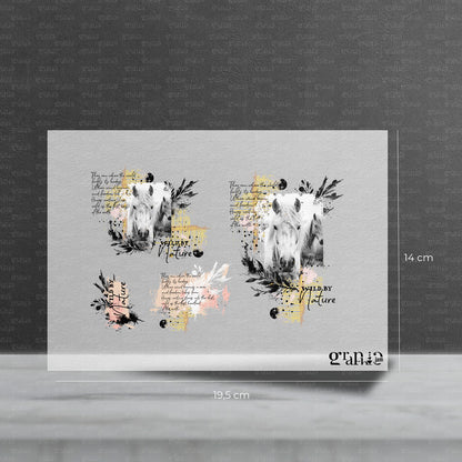 Bügelbild Set - Wild Horses