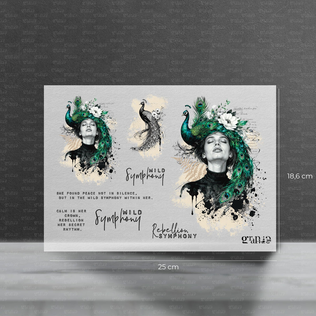 Bügelbild Set - Wild Symphony | Vorbestellung