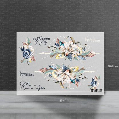 Bügelbild Lillies &amp; Shells Borte | Vorbestellung