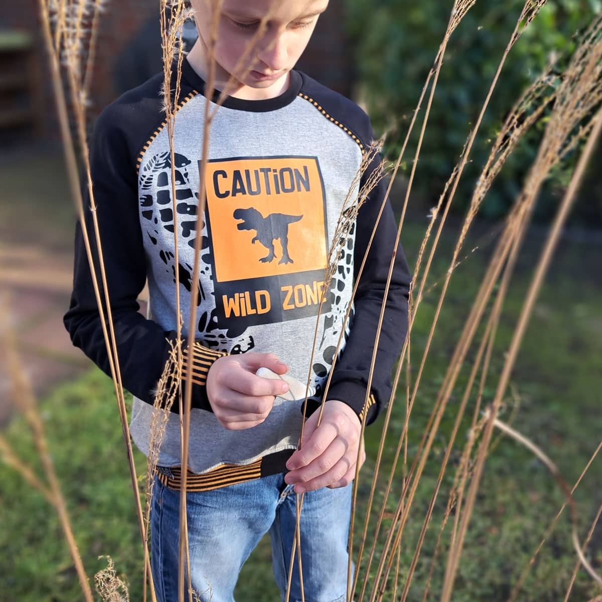 Caution Wild Zone Dino Plotterdatei