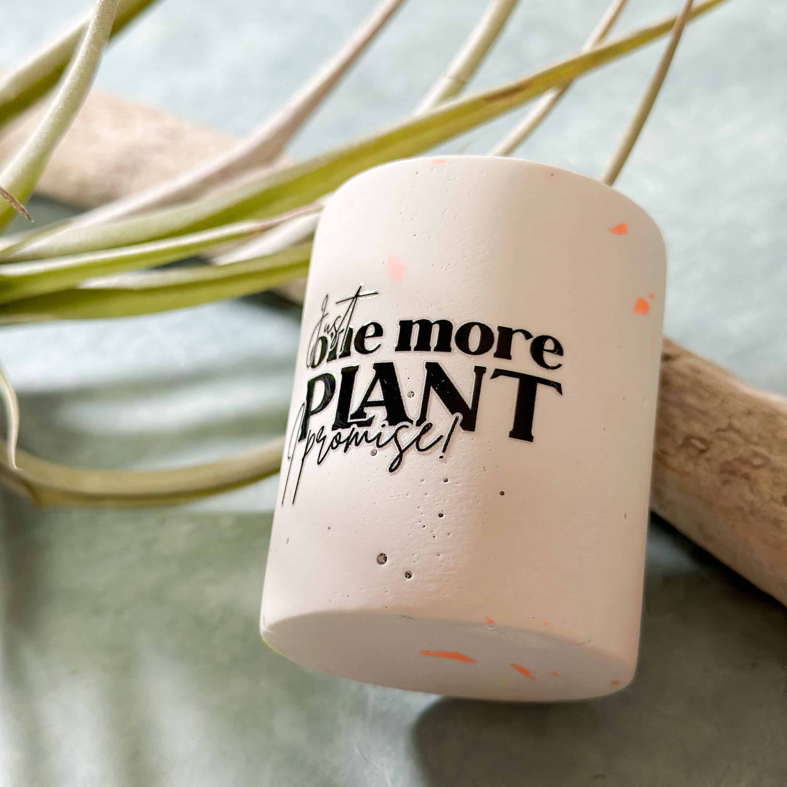 plantslove_rubonsticker_graphicjam_bild2