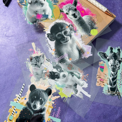 Rub-On Sticker &quot;Cuties - Katze&quot;